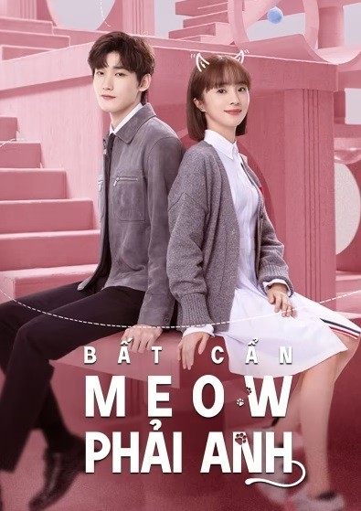 Xem phim Bất Cẩn Meow Phải Anh