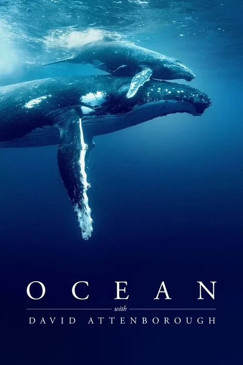 Xem phim Đại dương cùng David Attenborough